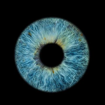 Irisfotografie Werbeagentur Landsiedel Müller Flagmeyer